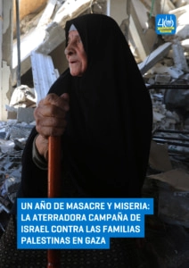 Informes Anuales