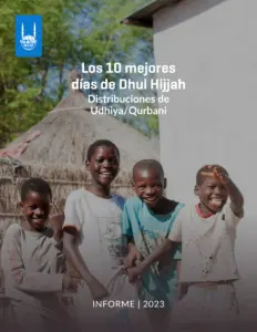 Informes Anuales
