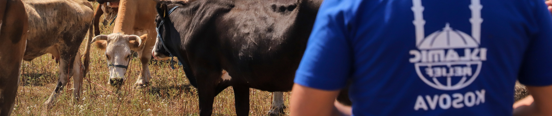 Udhiya/Qurbani Profético