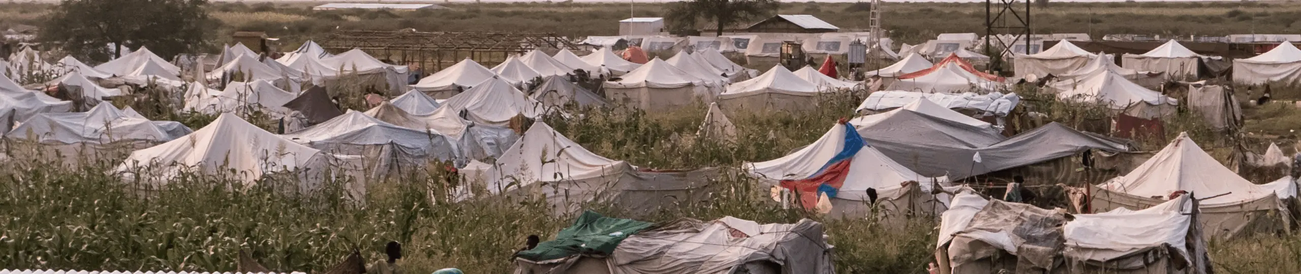 Reacción de Islamic Relief ante la confirmación de hambruna en El Fasher por parte del IPC