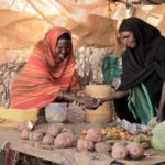 África oriental: así es cómo nos estás ayudando a combatir el hambre